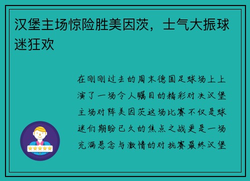 汉堡主场惊险胜美因茨，士气大振球迷狂欢