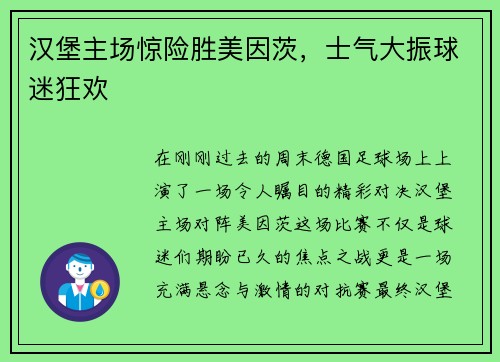 汉堡主场惊险胜美因茨，士气大振球迷狂欢